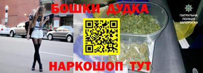 стаф Канаш