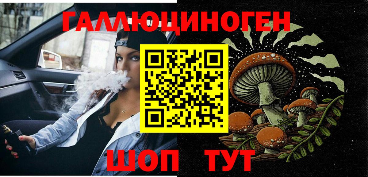 Галлюциногенные грибы Magic Shrooms  Вход с VPN  Курчалой  Псилоцибиновые грибы MAGIC MUSHROOMS 