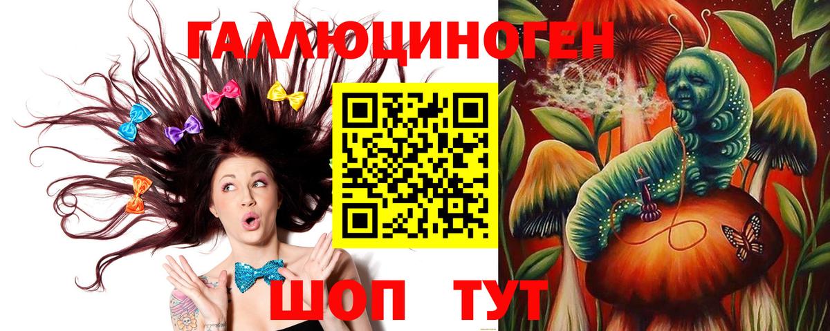 Галлюциногенные грибы Psilocybine cubensis Курчалой